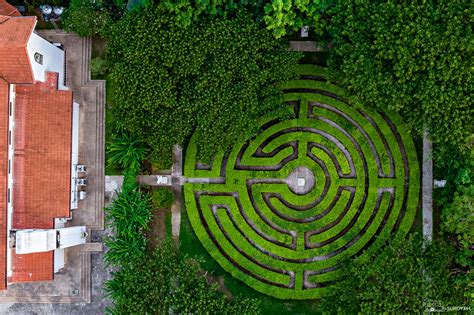 toledo maze|Really A.